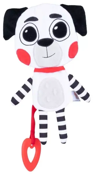 Kontrastowy pies zdjęcie 1