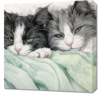 Obraz 60x60cm Dwie Zrelaksowane Kicie