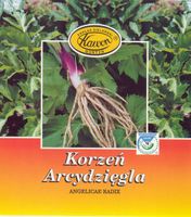 ARCYDZIĘGIEL - Korzeń arcydzięgla 50g - Zioło do zaparzania