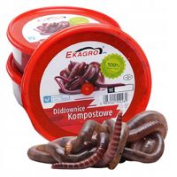 300szt Kompostowe Dżdżownice Kalifornijskie