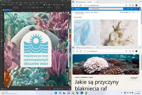 Program MICROSOFT Windows 11 Home Box na Arena.pl