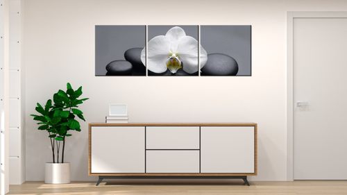 Obraz Tryptyk 150X50 Biały Storczyk na Arena.pl