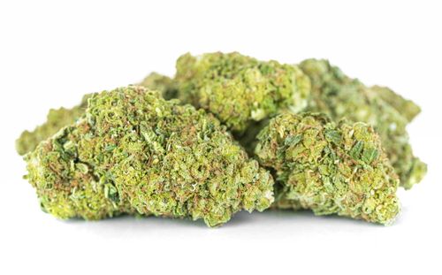 Susz konopny CBD AK 47 SUPER AMSTERDAM 1g na Arena.pl