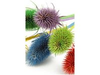 40X60CM KOLOROWY OSET OBRAZ