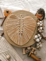 product-compare-50038098