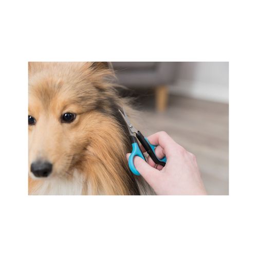 trixie nożyce pielęgnacyjne 8cm na Arena.pl