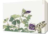 Obraz 40x30cm Motyl z Kwiatem Morimoto Toko Japoński Vintage do Salonu