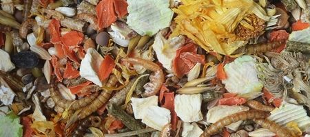 NATURAL VIT Korona Natury pokarm karma jedzenie dla chomika z larwami 750g na Arena.pl