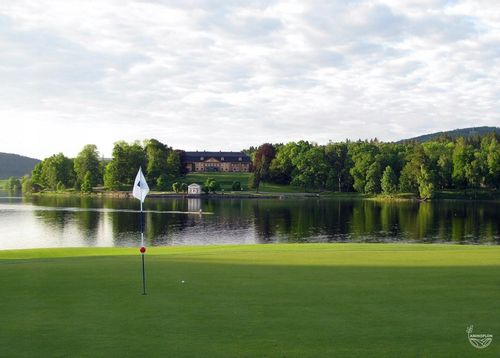 Starane Trawniki na Chwasty w Trawnikach, Boiskach NIE NISZCZY TRAWY 100ml na Arena.pl