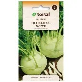 Kalarepa DELIKATESS WITTE 2g