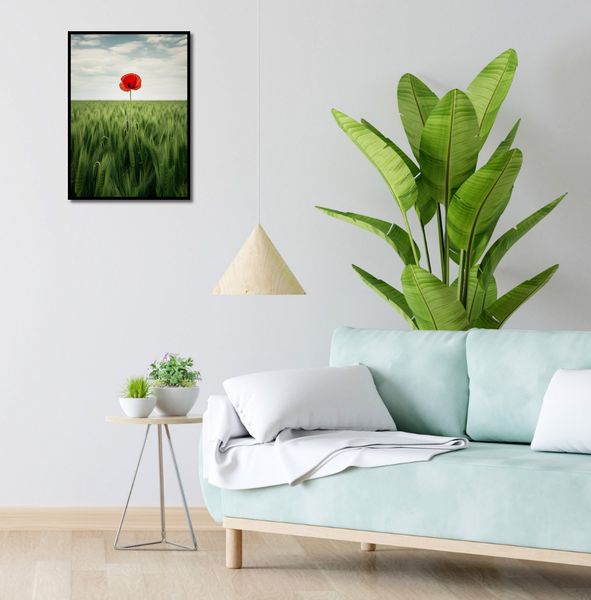 Plakat 40x55cm Samotny Mak na Polu zdjęcie 4