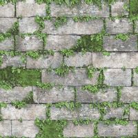 TAPETA KAMIEŃ POROŚNIĘTY ROŚLINAMI EFEKT 3D