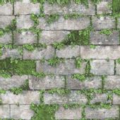 TAPETA KAMIEŃ POROŚNIĘTY ROŚLINAMI EFEKT 3D