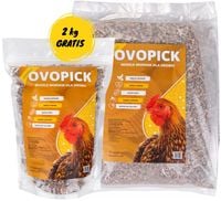 OVOPICK 10 kg+GRATIS muszle morskie dla kur niosek