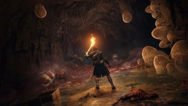 Gra PS4 Elden Ring (Kompatybilna z PS5) zdjęcie 9