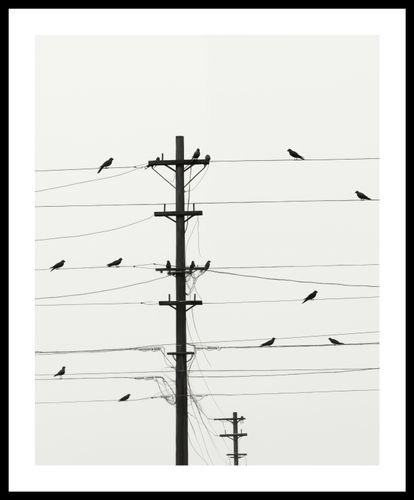 Plakat 40x50cm Symfonia na Drutach na Arena.pl