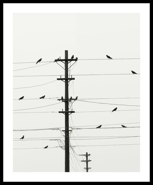 Plakat 40x50cm Symfonia na Drutach zdjęcie 3