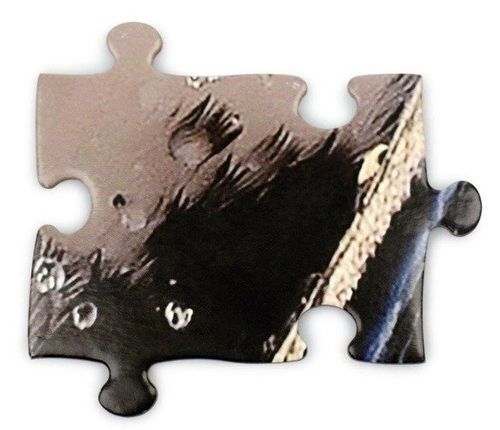 MADD CAPP Puzzle I AM PENGUIN - Pingwin 100 el. na Arena.pl