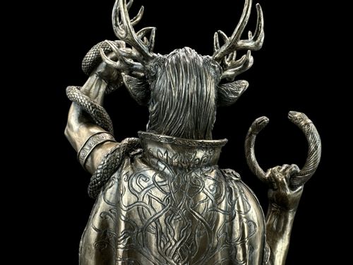 POPIERSIE CERNUNNOSA VERONESE WU77949A1 na Arena.pl