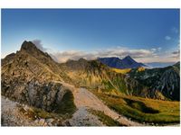 product-compare-58694476