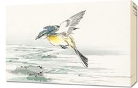 Obraz 60x40cm Eastern Grey Wagtail, Kashu Vintage do Salonu