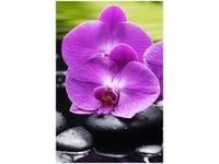 40X60CM KAMIENIE STORCZYKI OBRAZ