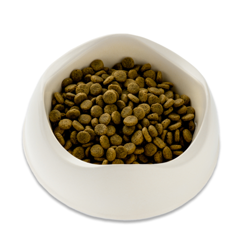 Beco wild Boar pumpkin and broccoli 2kg na Arena.pl