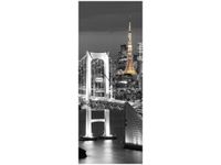 OBRAZ RAINBOW BRIDGE WANGAN