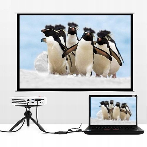 Kabel Przewód Adapter Konwerter DisplayPort DP do DVI 2 m 1080 full HD 2m na Arena.pl