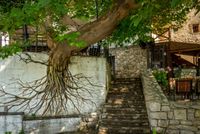 FOTOTAPETA drzewa schody zabytkowe miasto 260x180