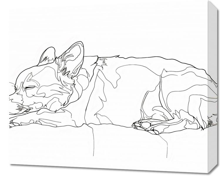 Obraz 60x50cm Śpiący Psiak zdjęcie 1