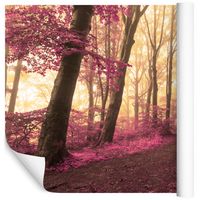 Fototapeta Las we Mgle JESIEŃ Drzewa do Salonu 315x210