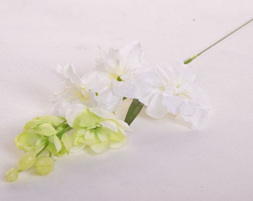 Lewkonia biała na Arena.pl