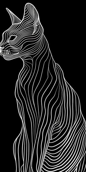 Plakat 50x100cm Minimalny Kontur zdjęcie 1