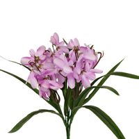 product-compare-61190387