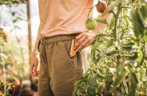 FISKARS / Nóż składany X-series K80 / Idealny do zbioru warzyw i owoców zdjęcie 14