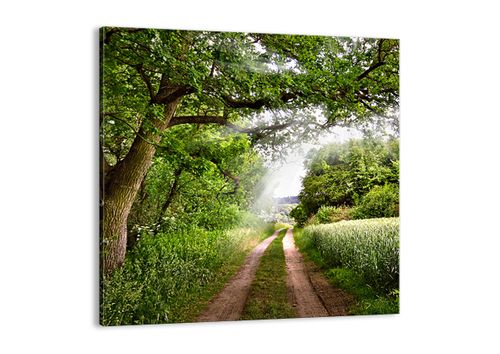 Obraz Na Płótnie - Las Pole Droga - 60X60 Cm - Ac60X60-2637 na Arena.pl