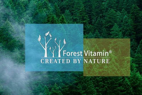 Kwas Hialuronowy W PROSZKU 50g ZDROWE STAWY SKÓRA KOŚCI ZMARSZCZKI na Arena.pl