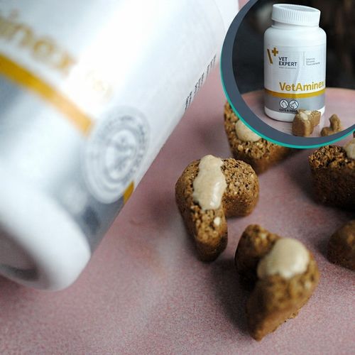 Preparat dla psów i kotów witaminy minerał Vet Expert Vetaminex 60 kapsułek na Arena.pl