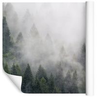 Fototapeta 3D Piękny Las we Mgle do Sypialni 180x120