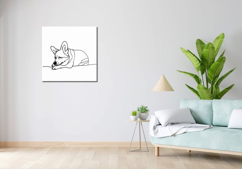 Obraz 70x70cm Śpiący Corgacz zdjęcie 2