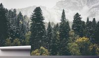 Fototapeta GÓRSKI LAS WE MGLE ŚNIEŻNEJ 390x280