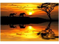 60X40CM AFRYKA OBRAZ