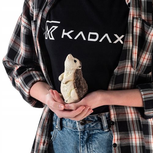 FIGURA OGRODOWA FIGURKA DEKORACJA OZDOBA DO OGRODU JEŻ JEŻYK NA na Arena.pl