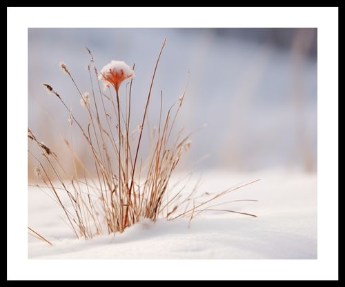 Plakat 50x40cm Zima w Detalach na Arena.pl