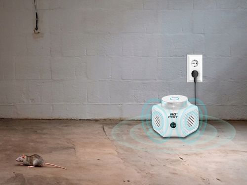 ULTRADŹWIĘKOWY ODSTRASZACZ KUN SZCZURÓW MYSZY GRYZONI NO PEST QUATTRO na Arena.pl