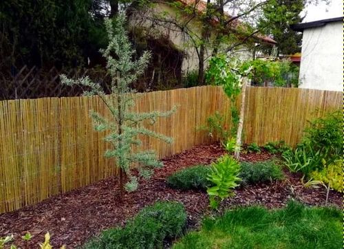 Mata bambusowa osłonowa na płot, ogrodzenie 1,8 x 5 m ( z listewek ) na Arena.pl