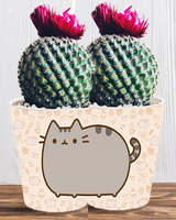 Doniczka do kwiatów/roślin - Pusheen - Kotek