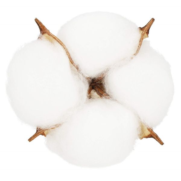 Sztuczna bawełna 12 szt. ozdoby świąteczne na druciku dekoracja do stroika zdjęcie 5