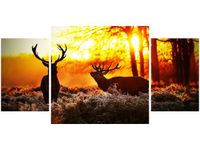 80X40CM RYKOWISKO TRÓJ OBRAZ